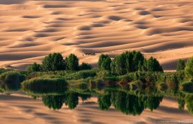 طبیعت خارق العاده چینی