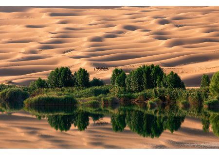 طبیعت خارق العاده چینی