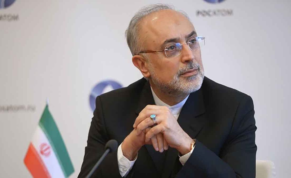 تحلیل علی اکبر صالحی از دلایل خروج آمریکا از افغانستان/ آمریکا وارد نبرد با شبکههایی شده که خاستگاه سیاسی نداشتند!