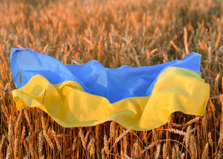 شرط بندی روی غلات: از غرب چه کاری برای صادرات اوکراین ساخته است؟