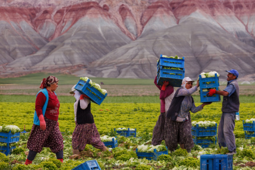 تغییرات اقلیمی نقش ترکیه را به عنوان تامین کننده مواد غذایی تهدید می‌کند