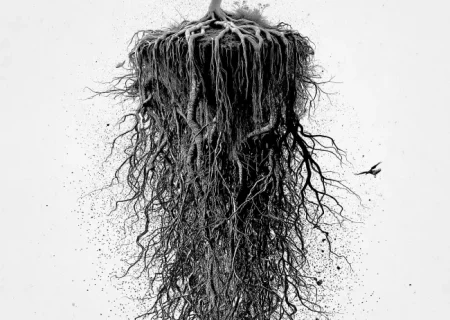 مدل واقعی چین؛ فرمول ماندگار پکن برای ثروت و قدرت